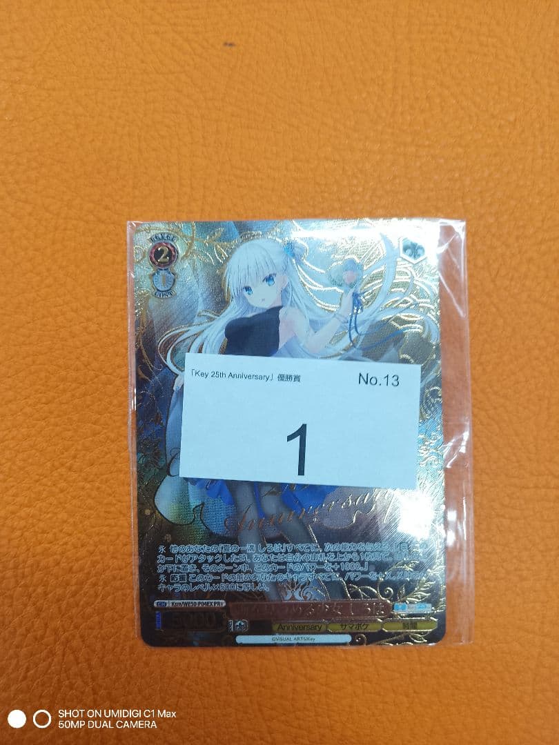 ヴァイスシュヴァルツ 海を見つめる少女 しろは