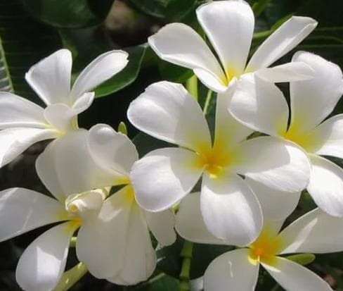 ゆうさま確認用