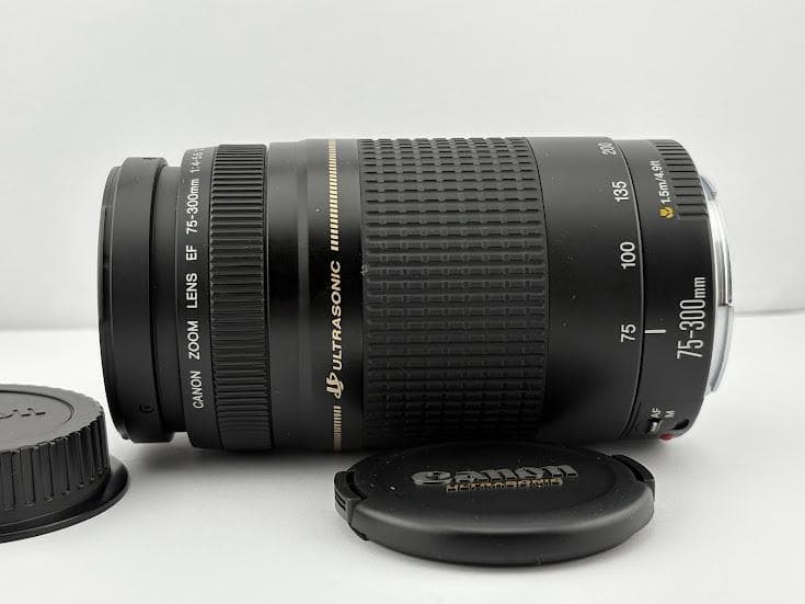 ★美品★キヤノンCANON EF 75-300mm F4-5.6 ii USM