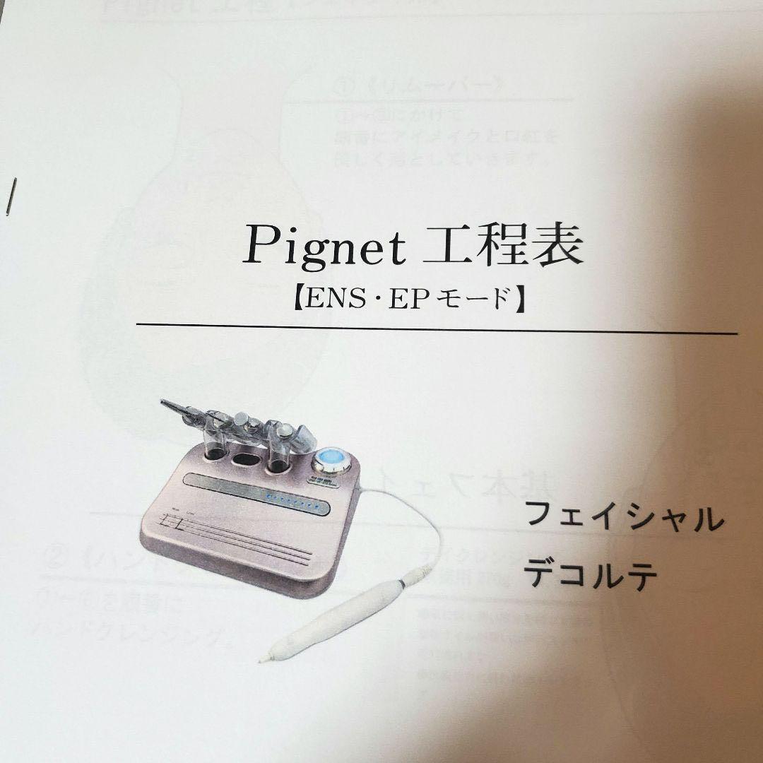 業務用美顔器　PIGNET OTHELLO The Skins Pro