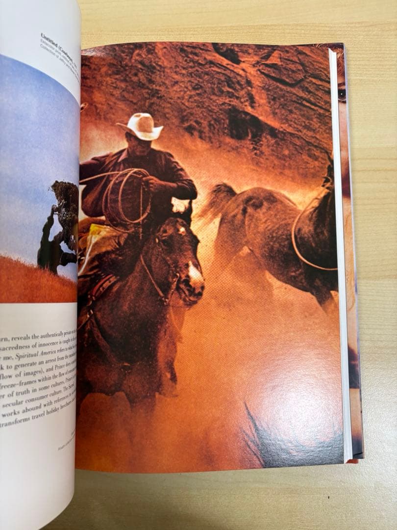 アート・デザイン・音楽 Richard Prince Lisa Phillips