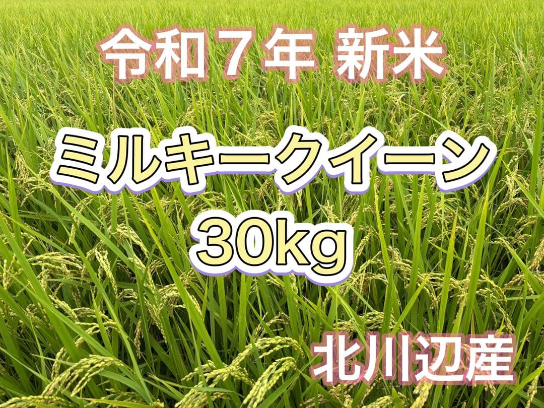 令和7年産新米ミルキークイーン玄米30kg（白米27キロ）埼玉北川辺産特別栽培米