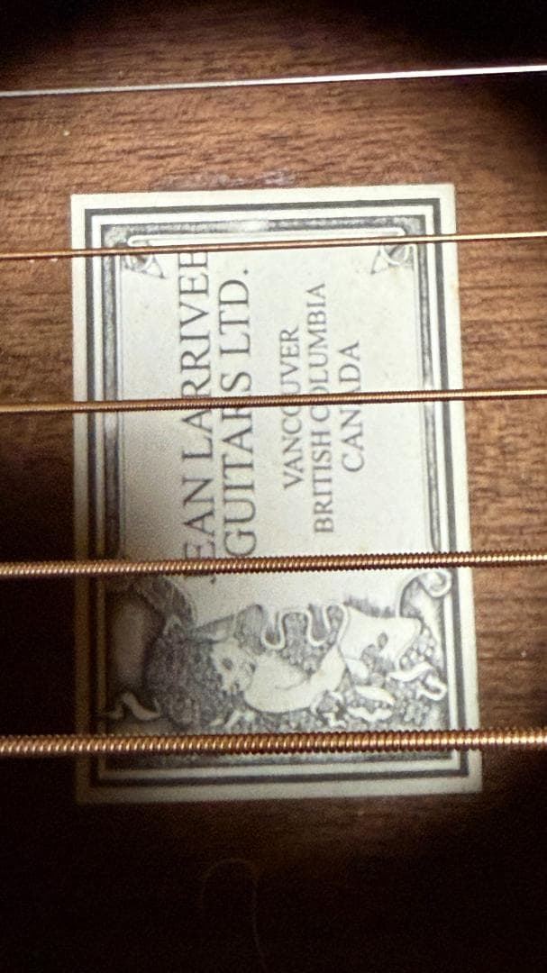 Larrivee O-01 1998ｓ