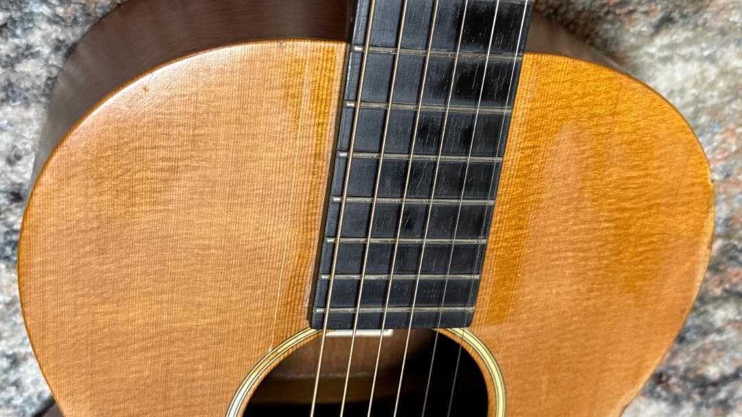 Larrivee O-01 1998ｓ