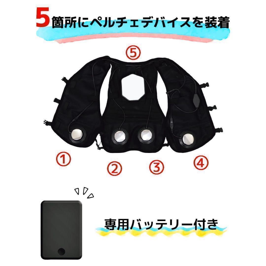 ワークマンウィンドコアアイス×ヒーターペルチェベストPRO2 798