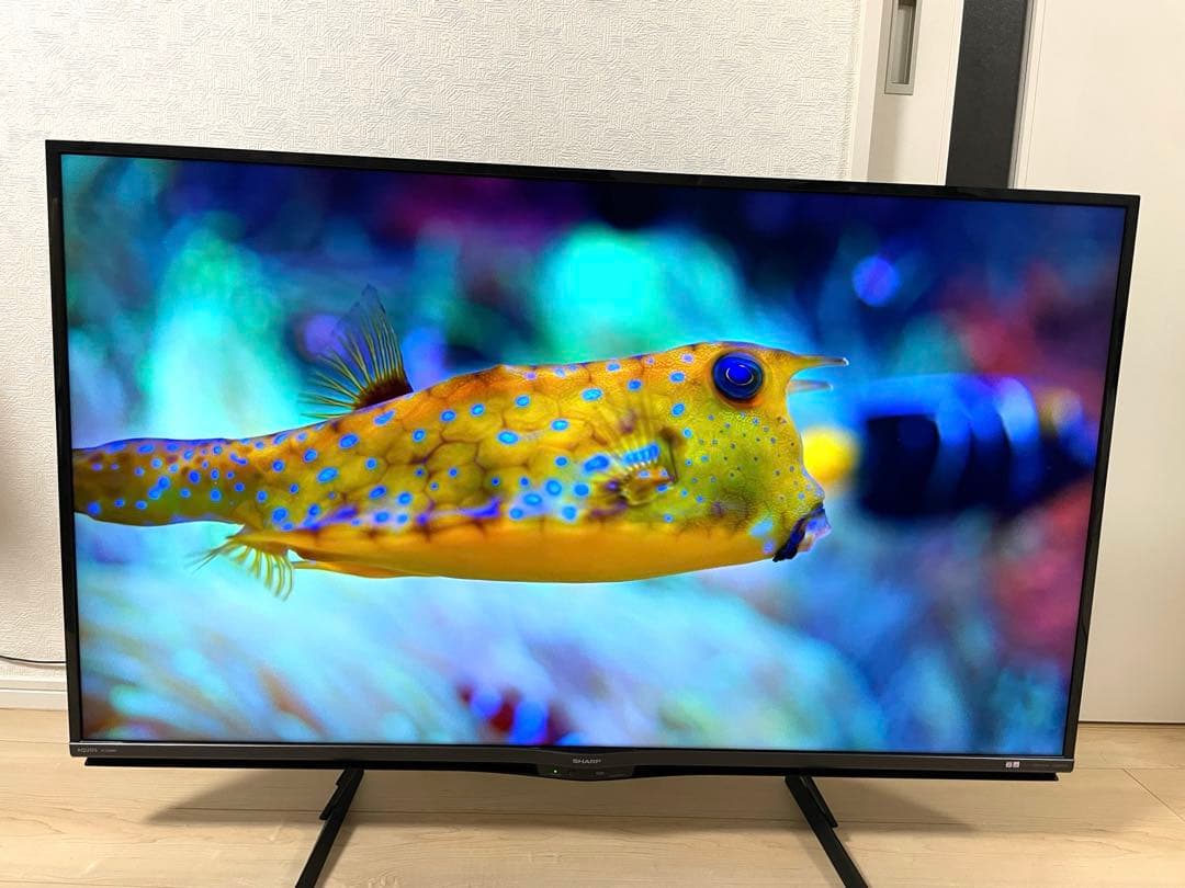 シャープ 50インチ 4K 液晶テレビ Android TV スマートテレビ