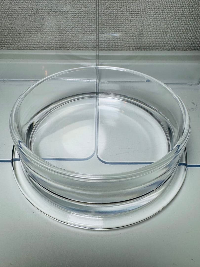 ラリック LALIQUE ロジェ パチネ 小物入れ オブジェ クリスタル✨