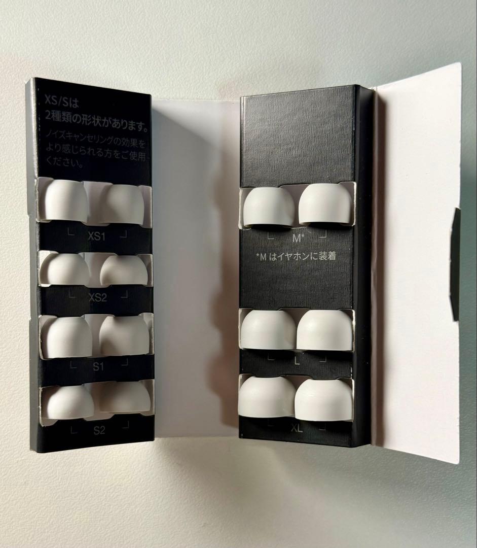 Technics EAH-AZ80 シルバー イヤーピース全サイズ有