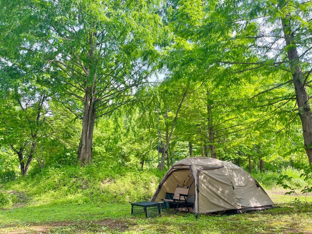 ステイシーST-II 【定価¥54,780】 オマケ付 ogawa