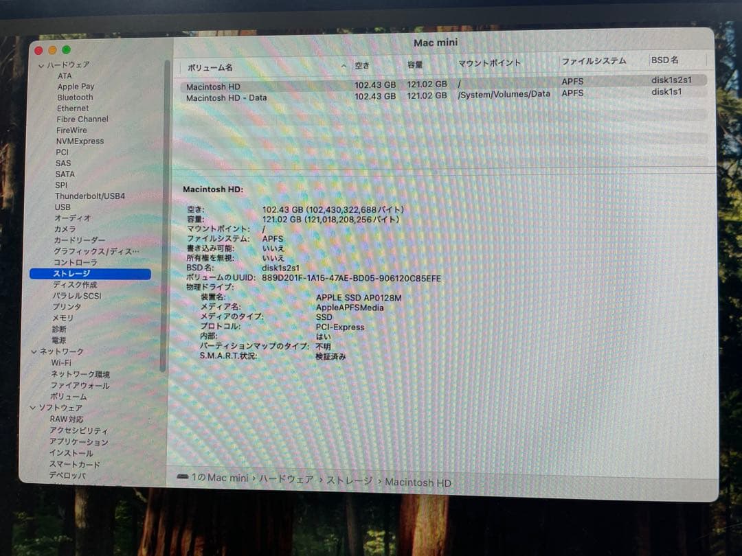 【中古】Apple Mac mini (2018)メモリ64GB