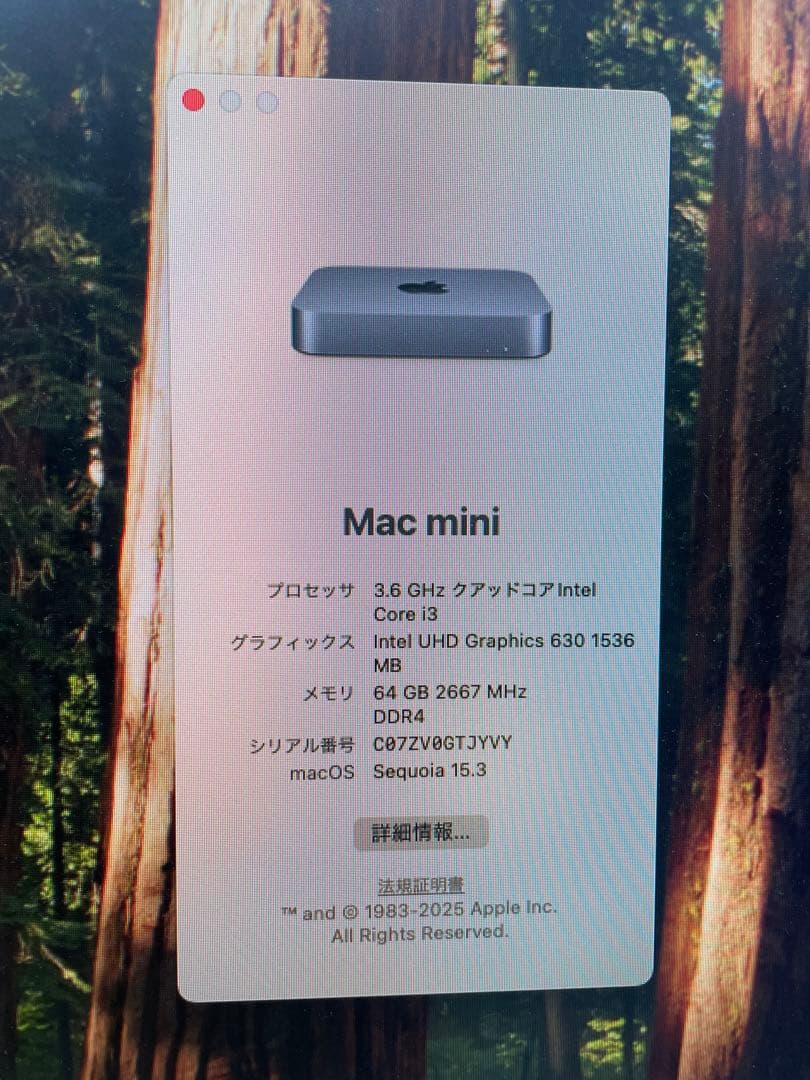 【中古】Apple Mac mini (2018)メモリ64GB