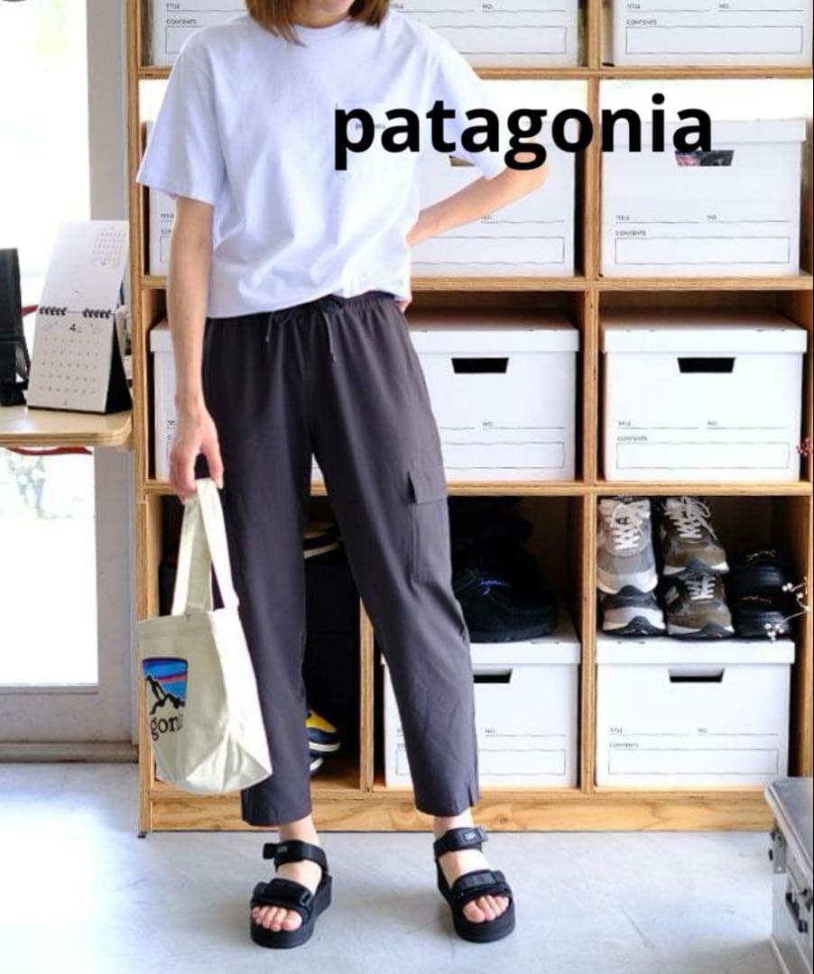 パタゴニア フリートウィズパンツ Ink Black