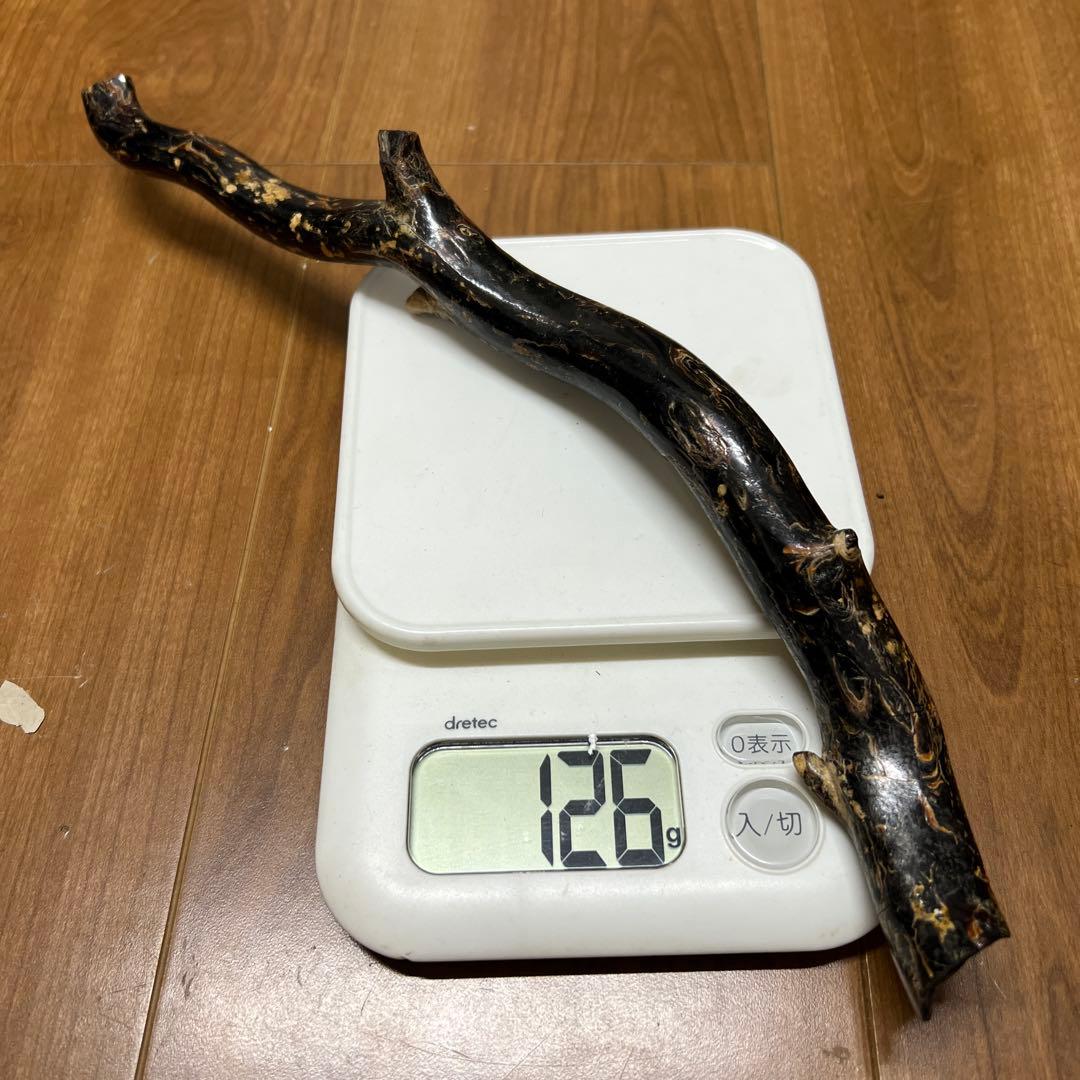 黒珊瑚　深海松　原木　長さ；35センチ H 1-1