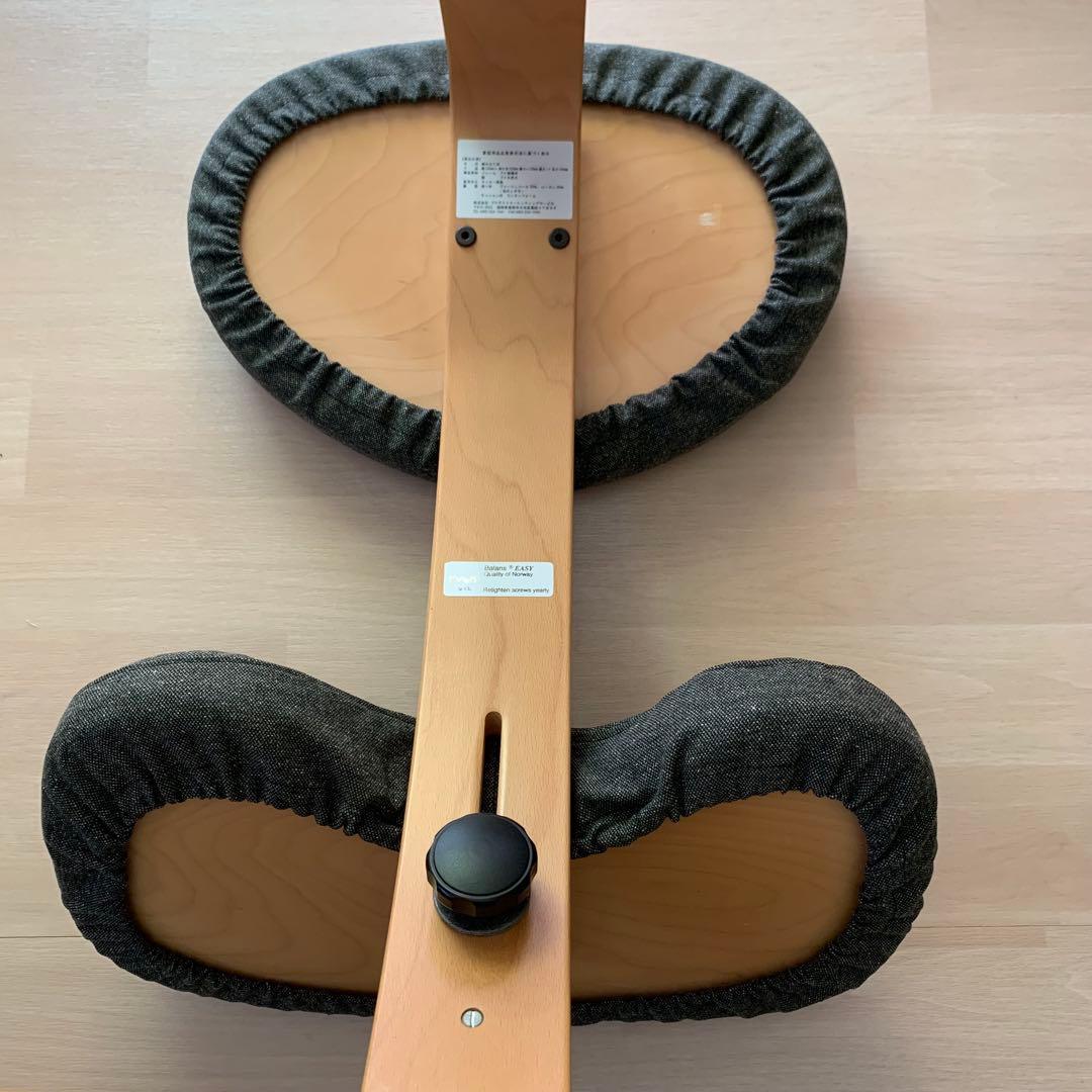 バランスチェアイージーカバー　バランスチェアカバー