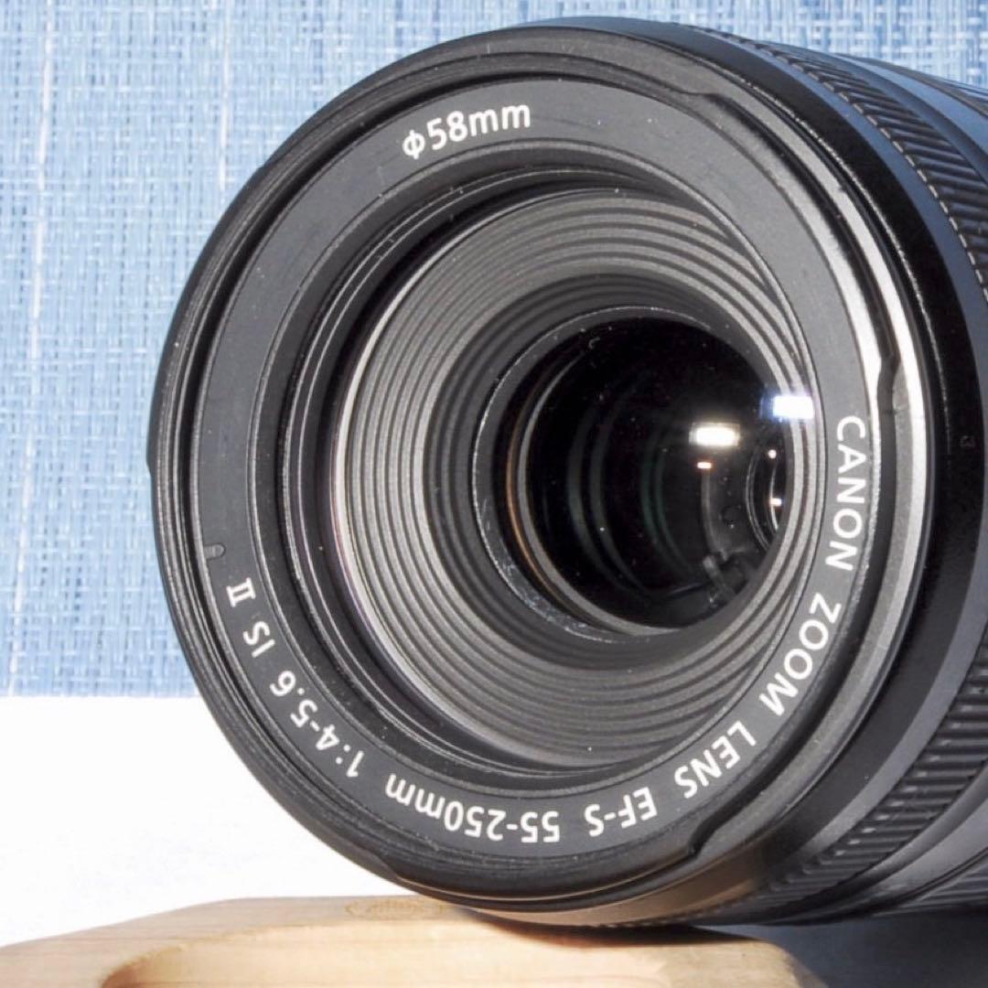 ⭐️超美品‼⭐️ キャノン EF-S 55-250mm 4-5.6 ISⅡ