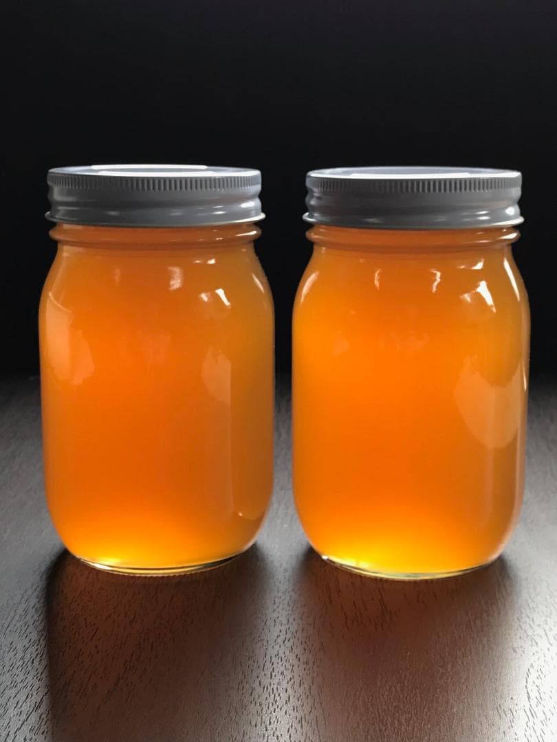 日本ミツバチ純粋100%蜂蜜 600g×２本