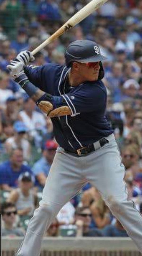 マニー・マチャド、カイル・ルイス　バッティンググローブ　　セット