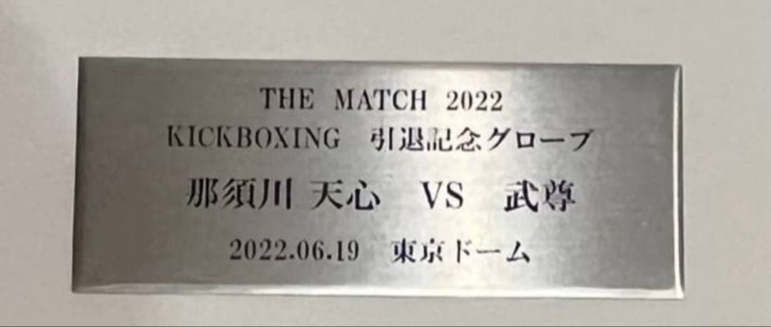 那須川天心キックボクシング引退記念直筆サイン入りグローブ