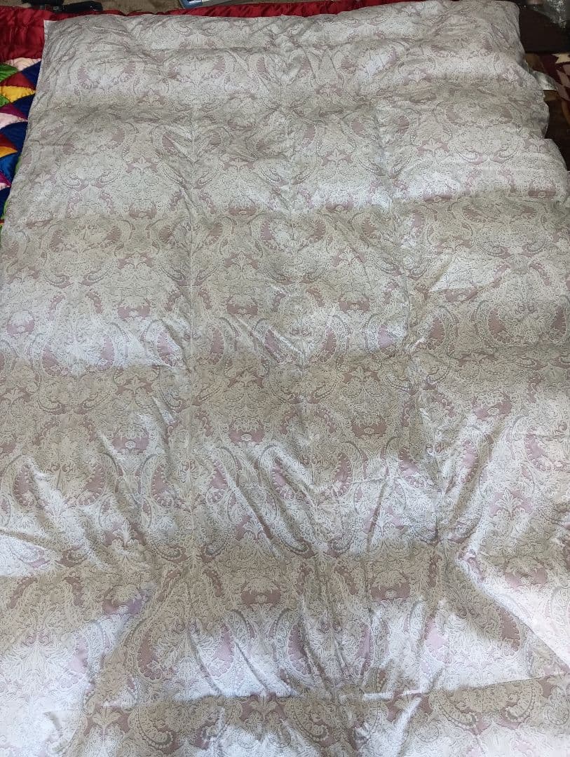 レイ　西川リビング布団 150cm x 210cmダウン90%羽毛1.1㌔