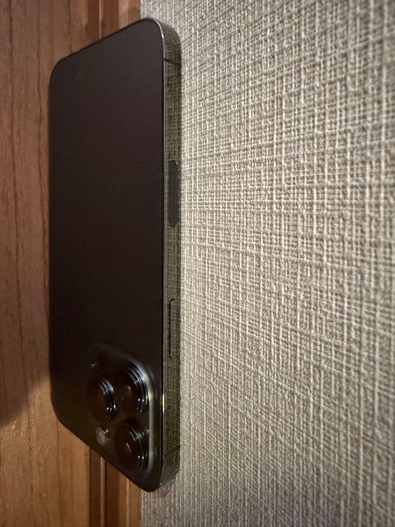 Apple iPhone 13 Pro 海外SIMフリー+おまけ保護画面フィルム