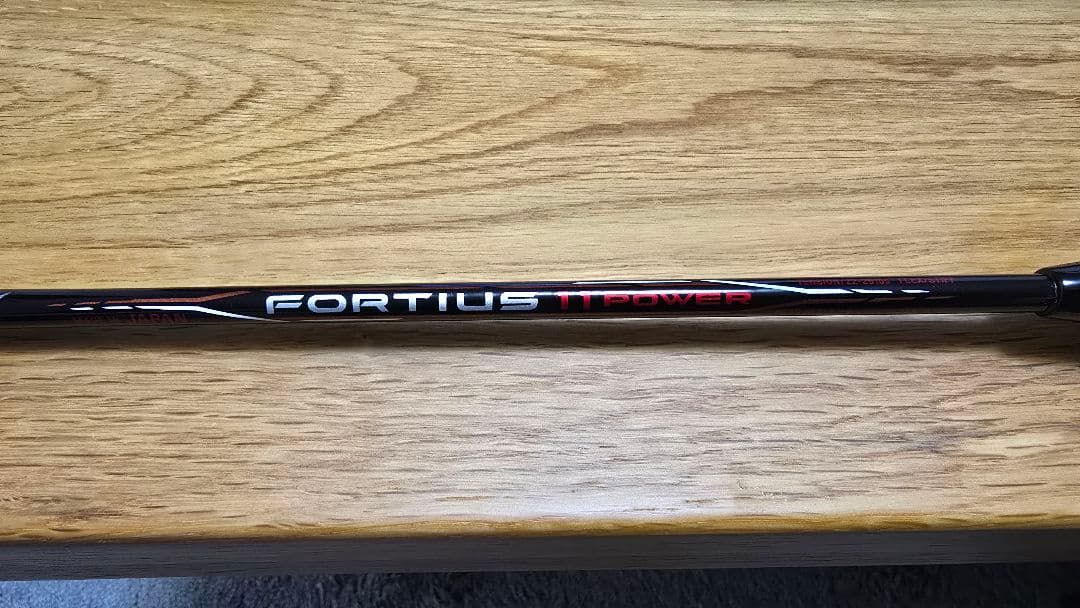 ミズノ フォルティウス 11 パワー