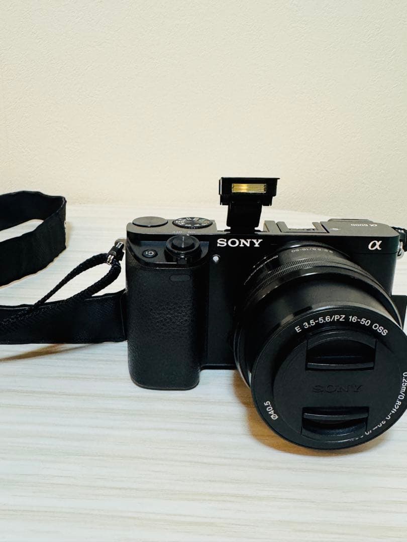 SONY α6000 ダブルズームレンズキット 動作確認済