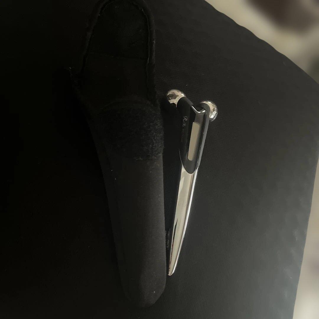 Rena Active 美顔ローラー ケース付き