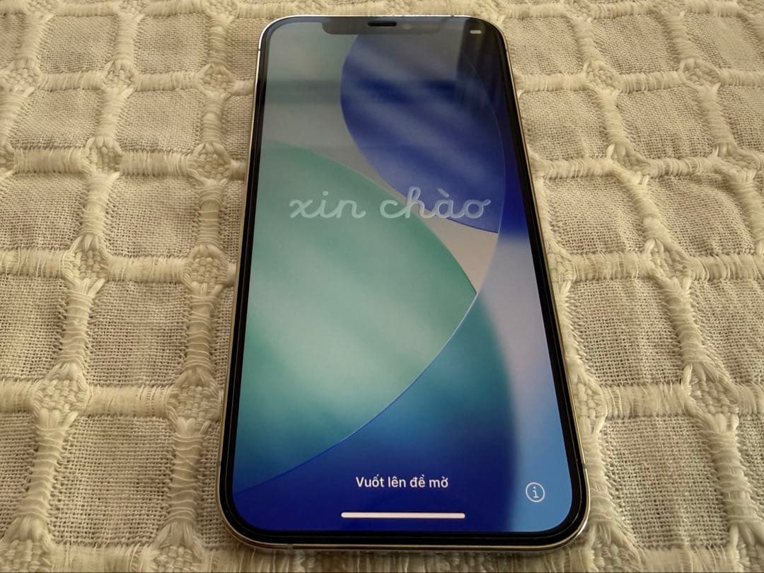 iPhone 12 Pro 256GB SIMロック無、QUAD LOCKケース