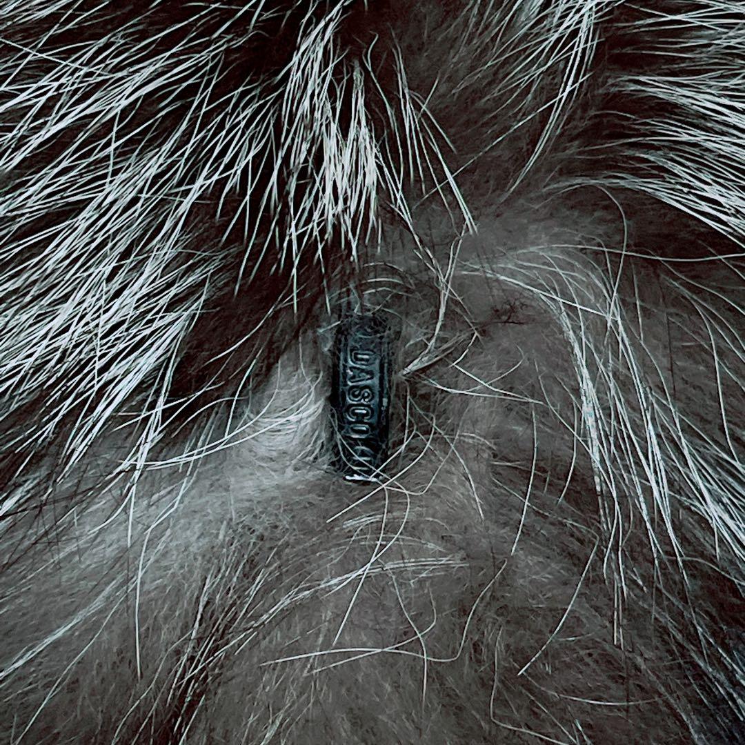 【肉厚✨極美品】総丈80 シルバーフォックス ファー 毛皮 L なめし柔らか◎