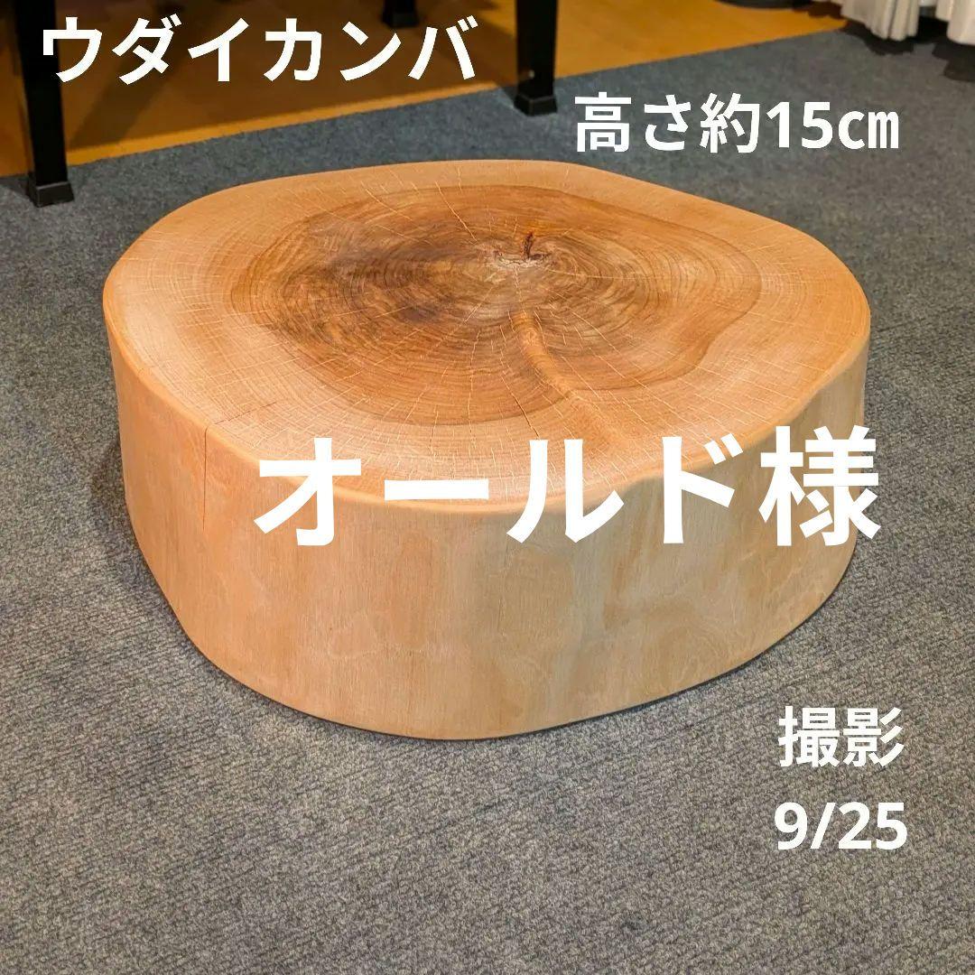 オールド　ウダイカンバ　切り株　輪切り　高さ約15㎝