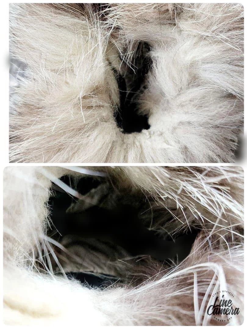 【美品】最高級 シルバーフォックス　毛皮コート　毛量◎　ゴージャス　ブラウン杢系