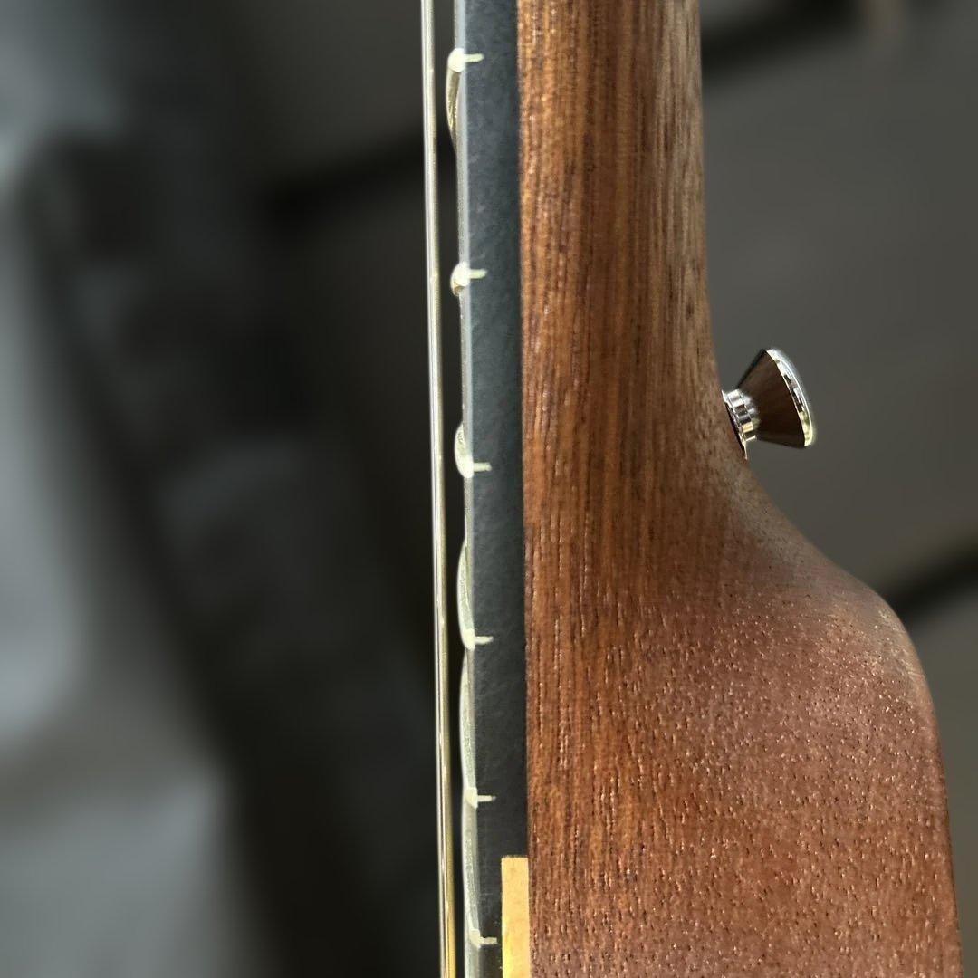 Martin & Co. バックパックギター