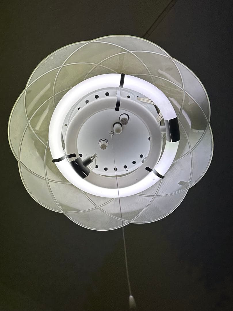 5分のみ値下げApple iPhone 14 Pro ディープパープル 本体