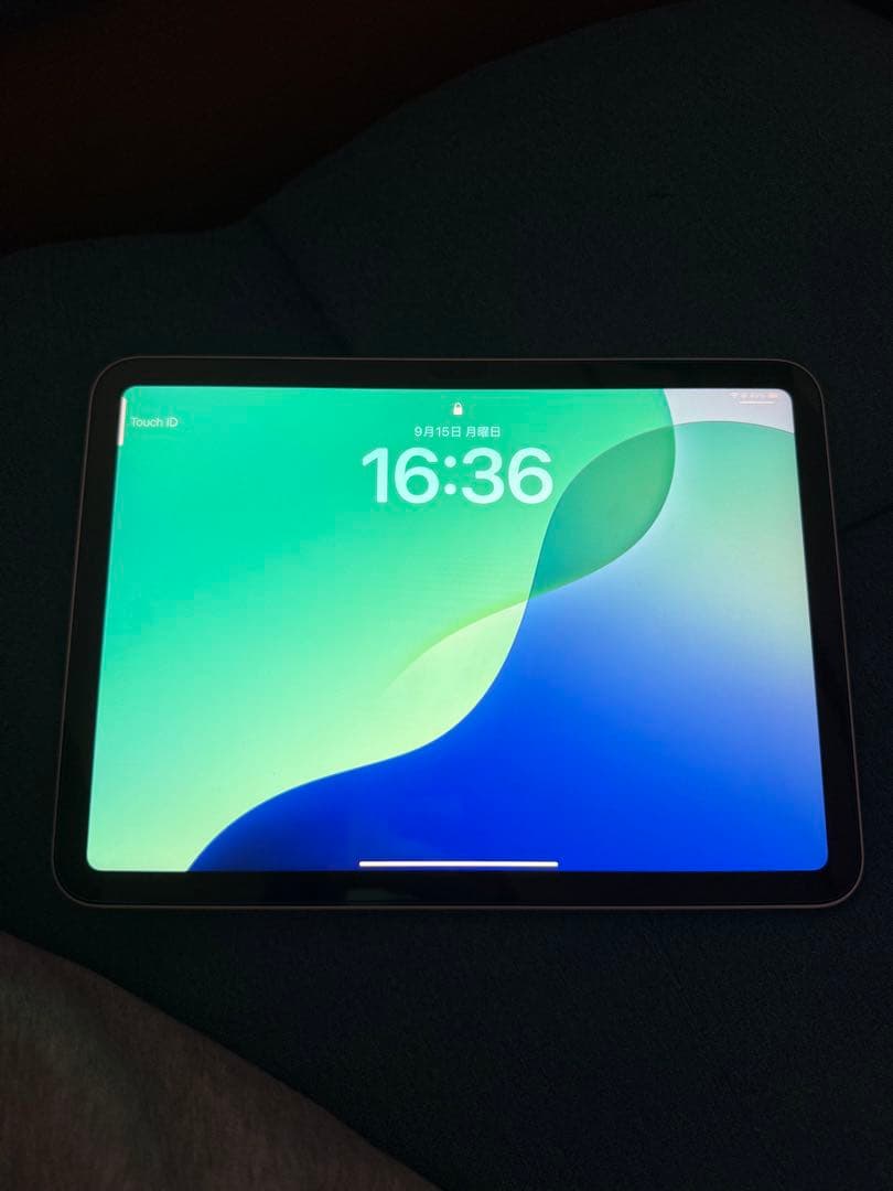 Apple iPad 本体(A16)WiFiモデル