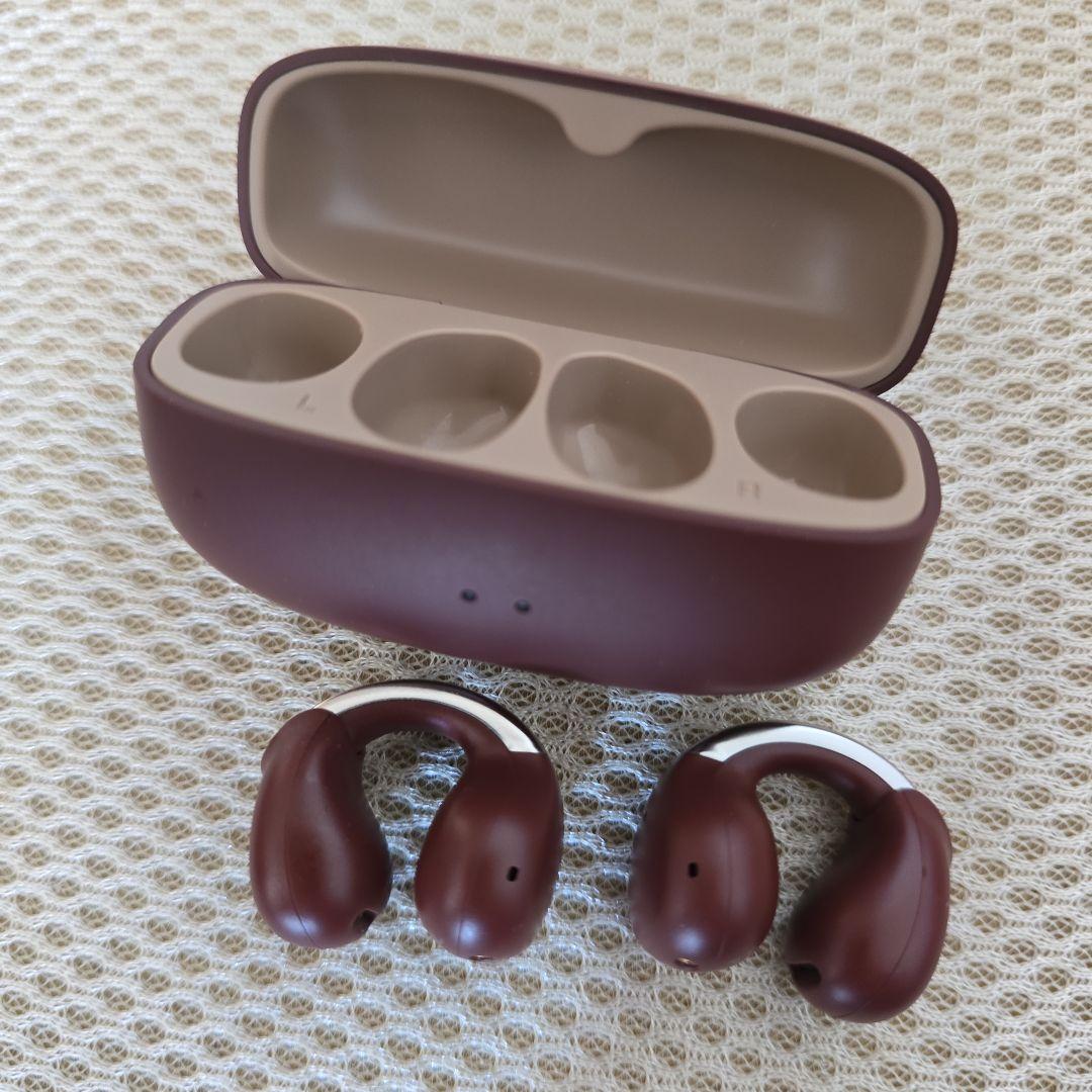 JVCケンウッド ワイヤレス イヤホン 左右分離 HA-NP1T