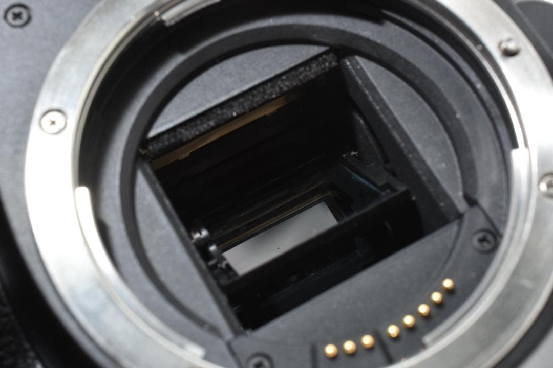 キヤノン Canon Kiss X4 ダブルレンズ ショット数567 手ぶれ補正