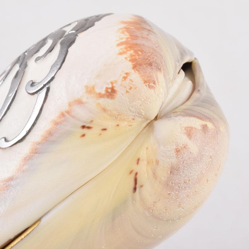 ジンジャー 　高橋正良作　浮彫　波月蒔絵　蛤香合　共箱　C　8518