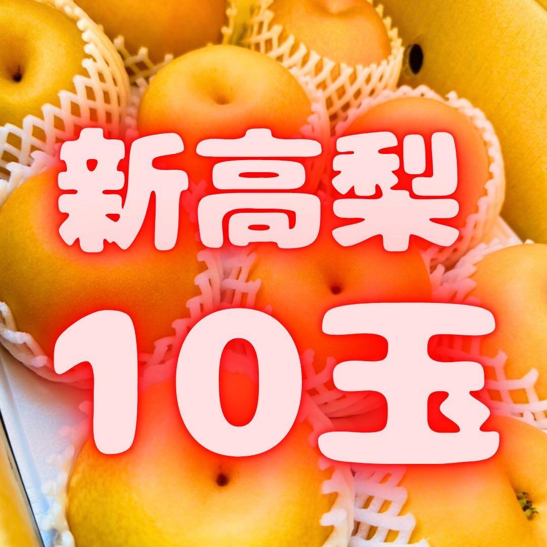 梨　新高梨　10玉　　09