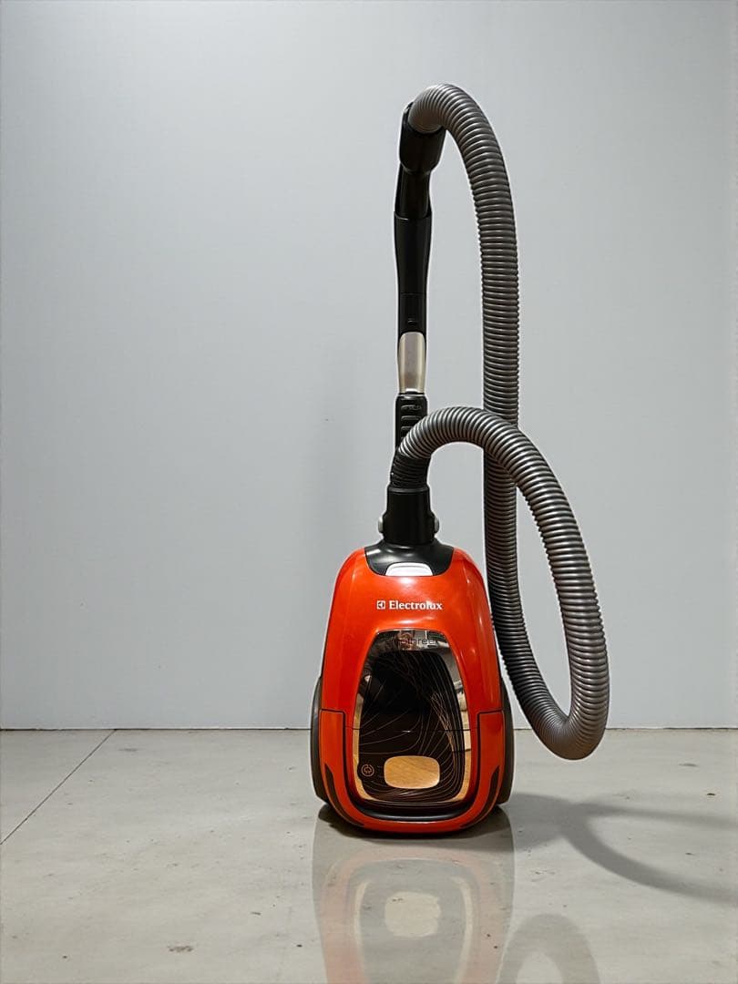 値引き不可‼️名品【Electrolux電気掃除機】エルゴスリーオート