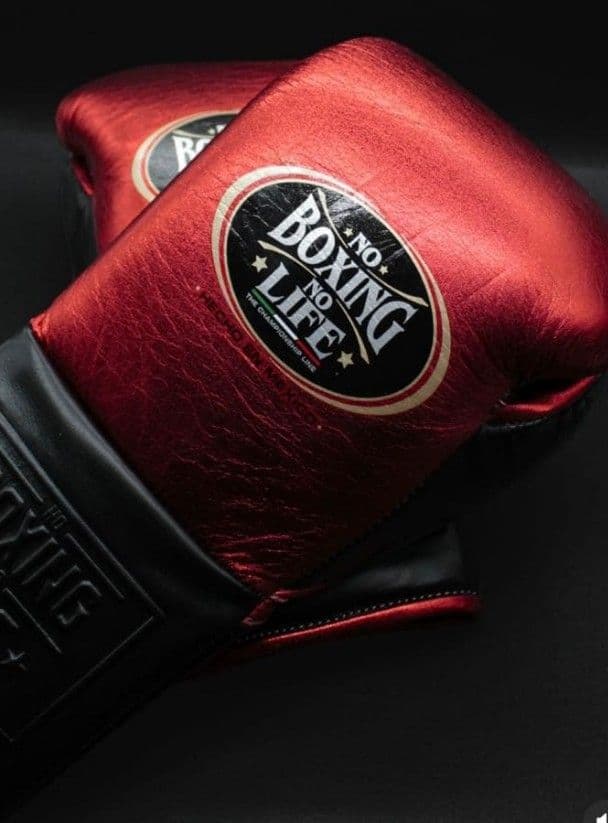 ボクシンググローブ　新品未使用 No Boxing No Life　10oz