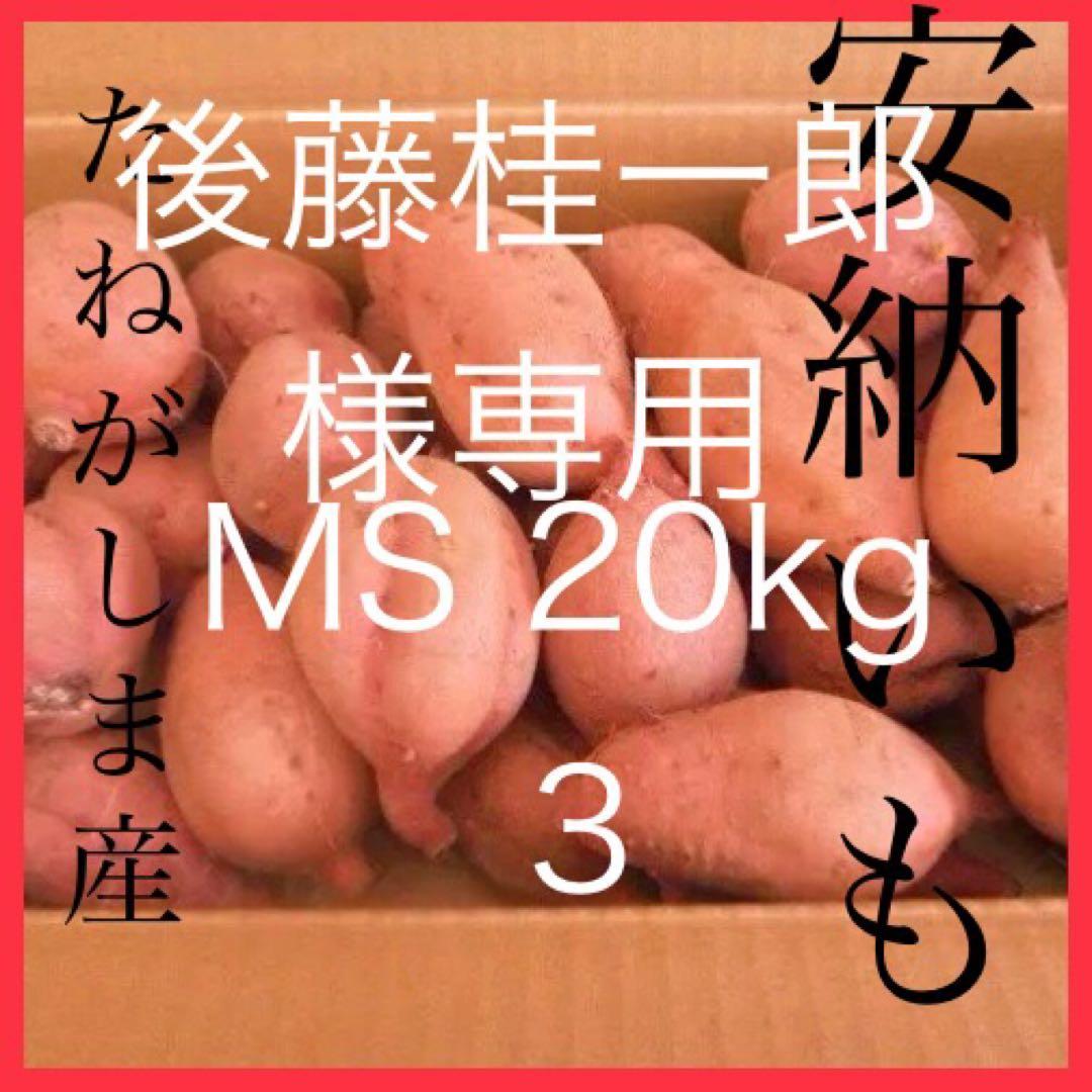 さつまいも 20kg 後藤桂一郎　安納芋　種子島産3
