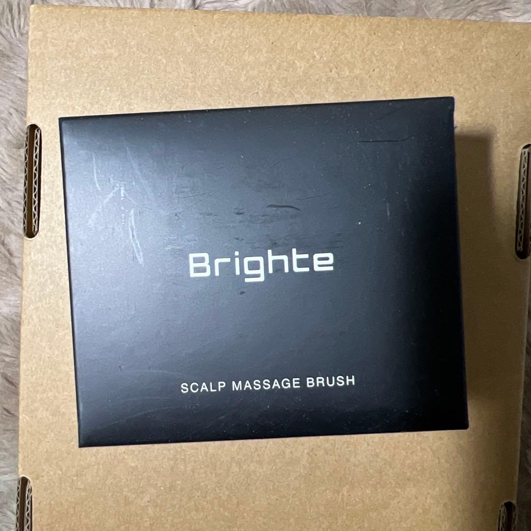 新品　佐々木希 アンバサダー　Brighte ブライト ELEKI BRUSH