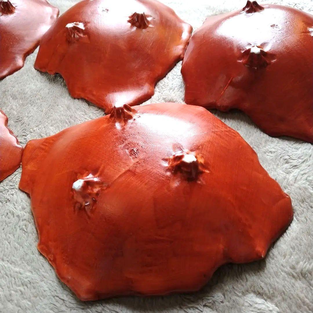 在印 朱色 三つ足鉢 5客揃 割烹料理 日本料理