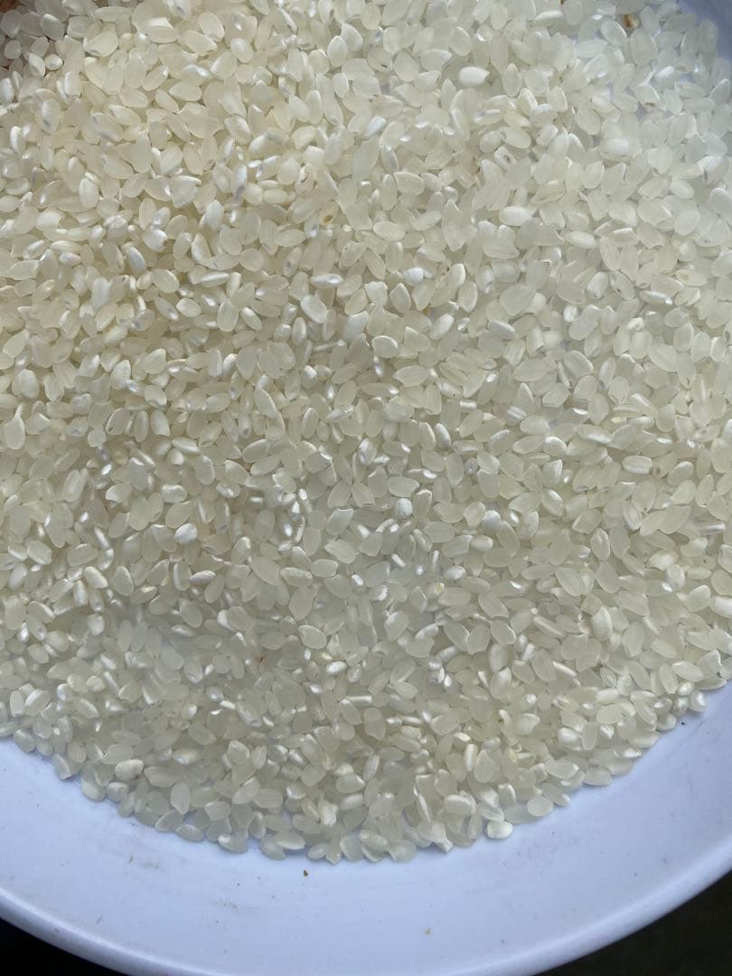 丹波産　中米　20キロ