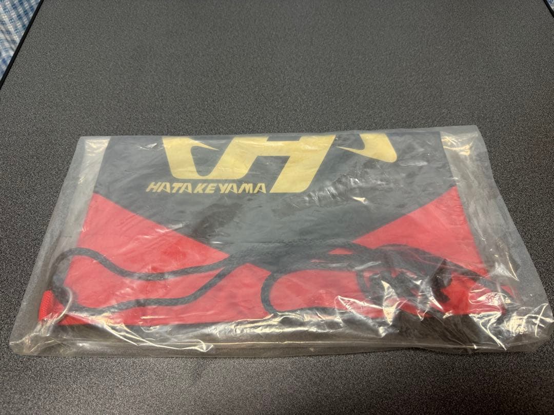 ハタケヤマ　硬式用キャッチャーミット　スペシャルプロオーダー　カラーオイル付