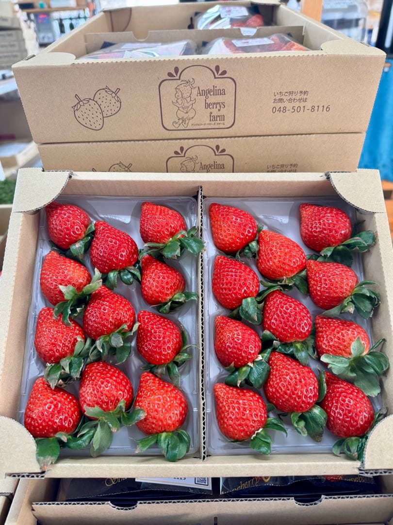 埼玉県プレミアムいちご あまりん&べにたま 食べ比べセット 4パック入り