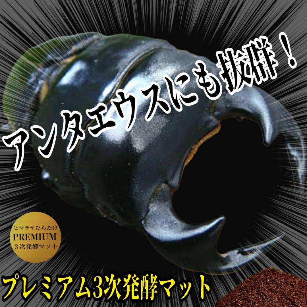 そう　プレミアム発酵マット40リットル