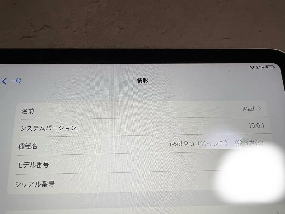 Apple iPad Pro 第3世代 シルバー　SIM対応　たら