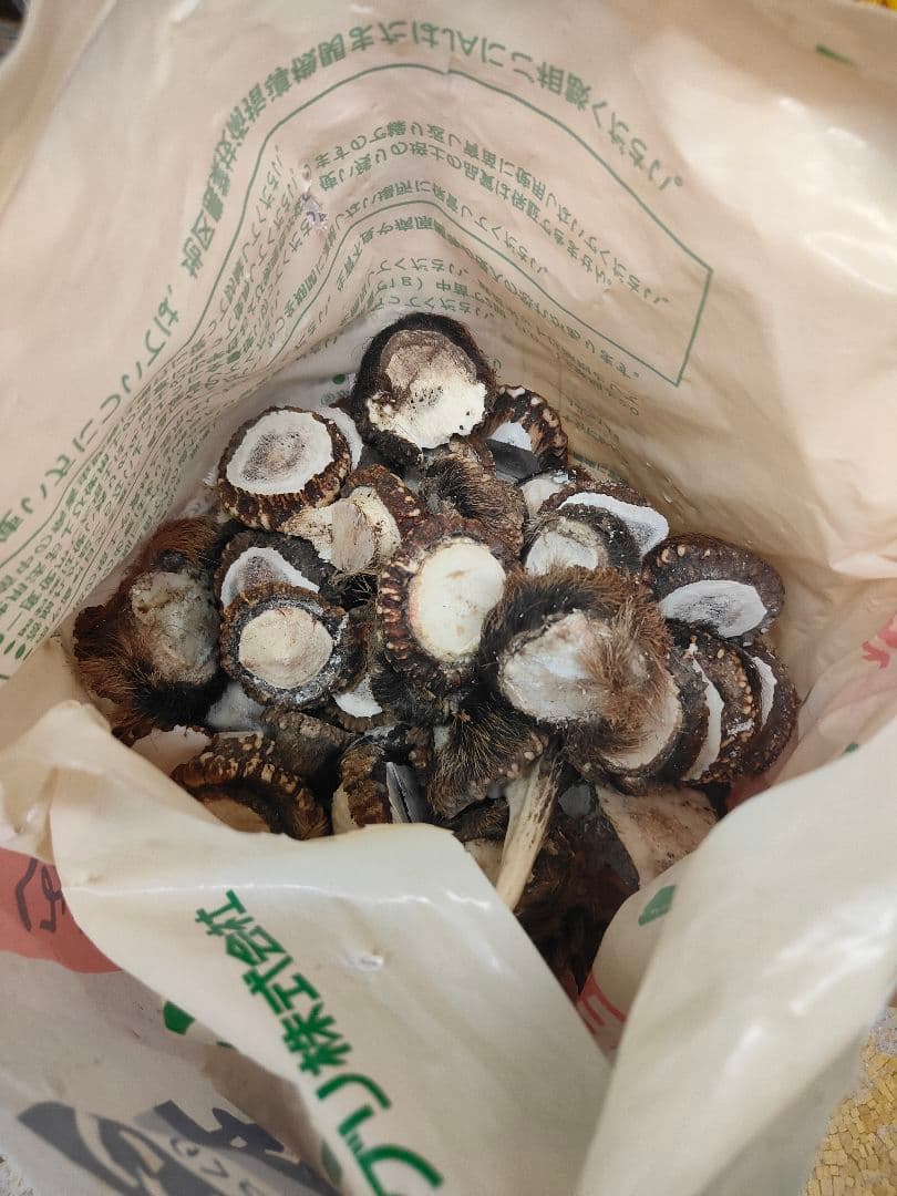 鹿角　端材 約21kg