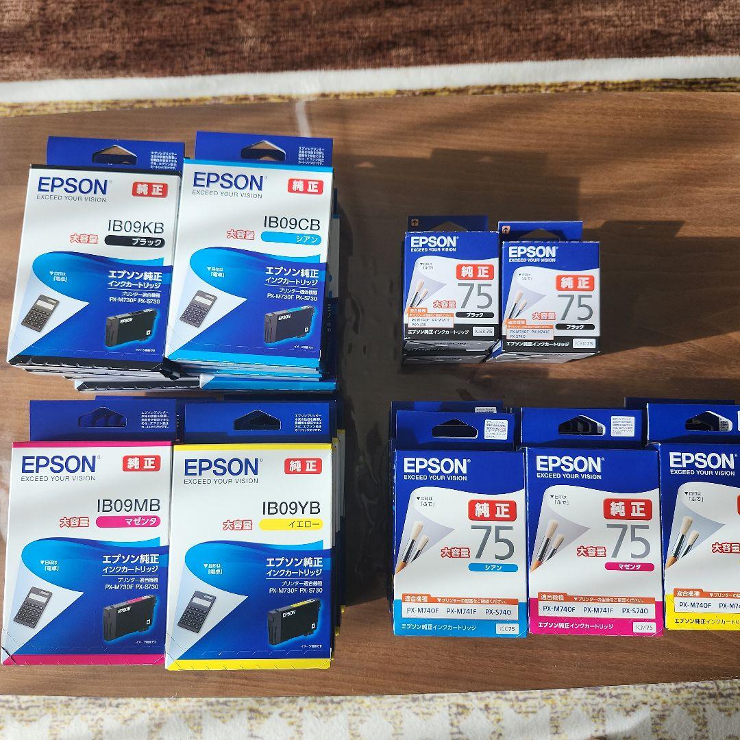 Epson インクカートリッジセット IB09シリーズ IC75シリーズ